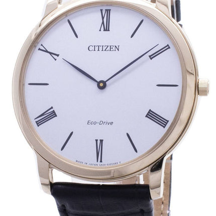 Citizen Eco-Drive AR1113-12B Mens Watch