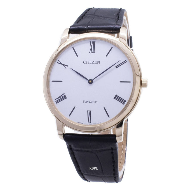 Citizen Eco-Drive AR1113-12B Mens Watch