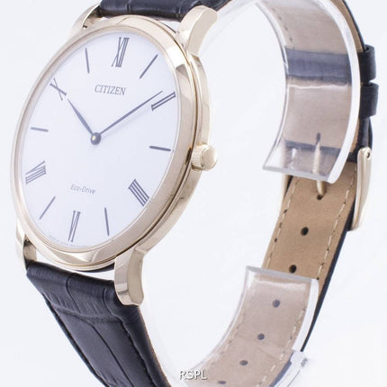 Citizen Eco-Drive AR1113-12B Mens Watch
