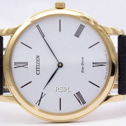Citizen Eco-Drive AR1113-12B Mens Watch