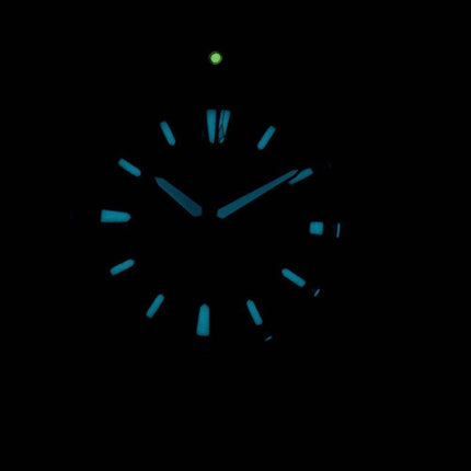 Citizen Eco-Drive Promaster Diver's 200M BN0191-80L Men's Watch