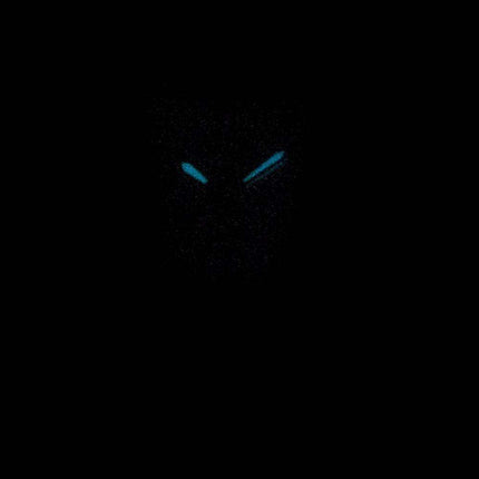 Citizen Paladion Eco-Drive Diamond Accents EW1594-55D Women's Watch