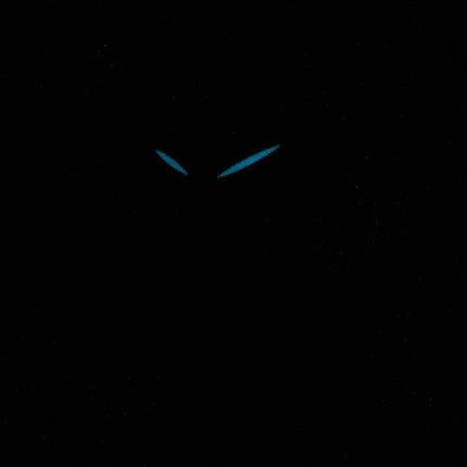 Citizen Eco-Drive Diamond Accent FE1140-86L Women's Watch