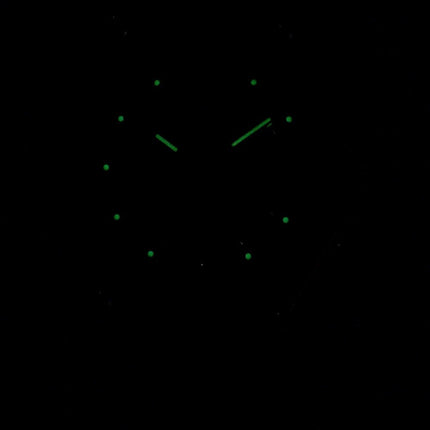 Orient RA-AA0B02R19B Automatic 22 Jewels Men's Watch