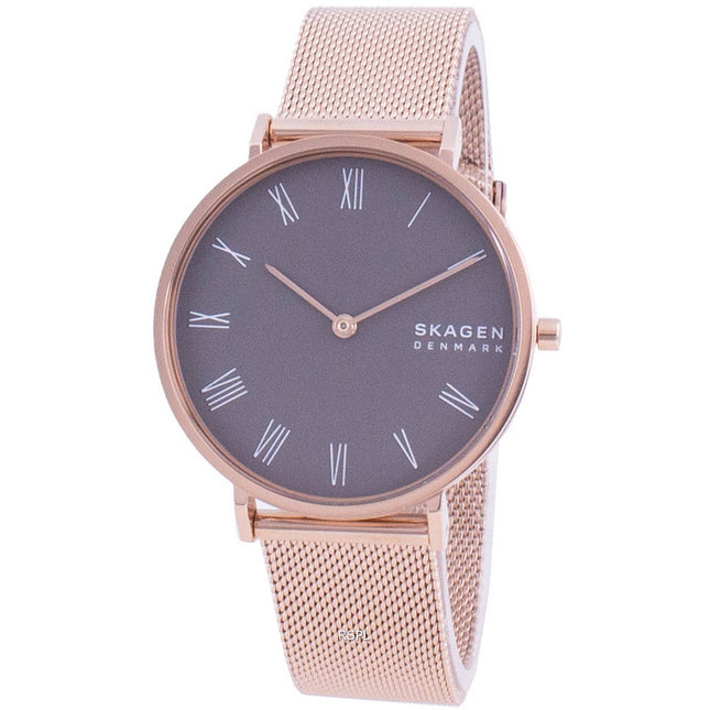 Skagen Hald SKW2813 Quartz Women's Watch